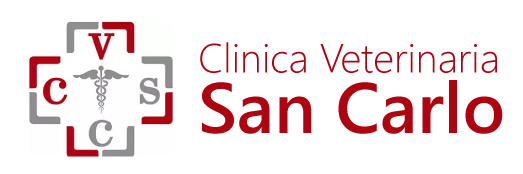Clinica Veterinaria San Carlo