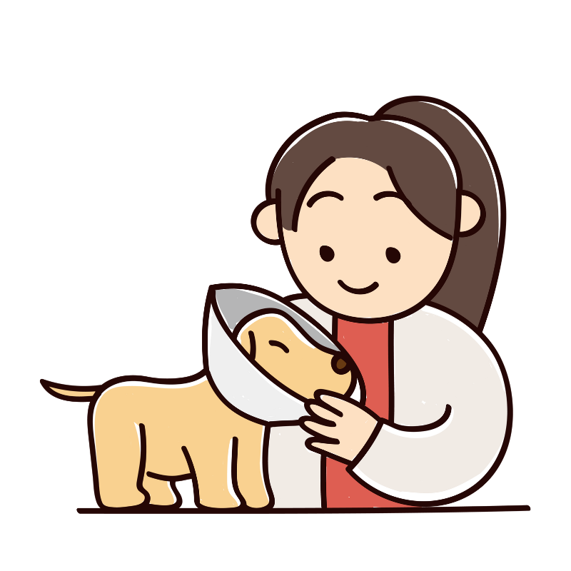 Avatar Dottoressa Team Veterinario