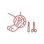 CHIRURGIA ORTOPEDICA