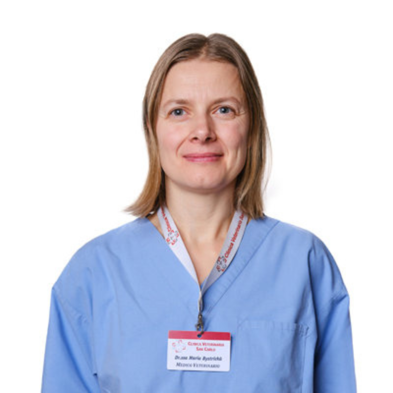 Dott.ssa Mária Bystrická