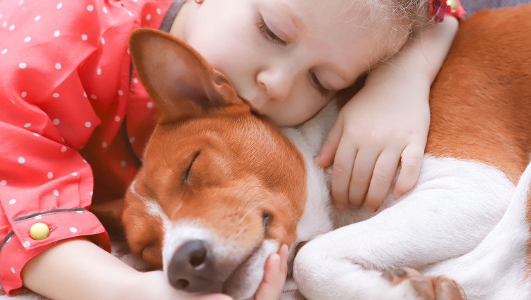 Pet Therapy: tutto quello che gli animali possono fare per noi