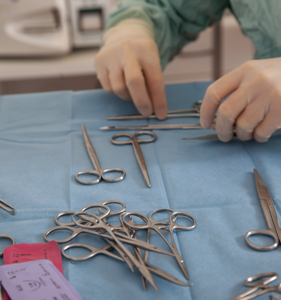 Preparazione chirurgica