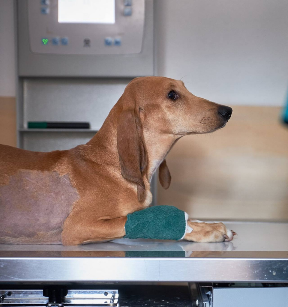 Radiografia di controllo