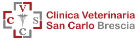 Logo colorato orizzontale della Clinica Veterinaria San Carlo a Brescia
